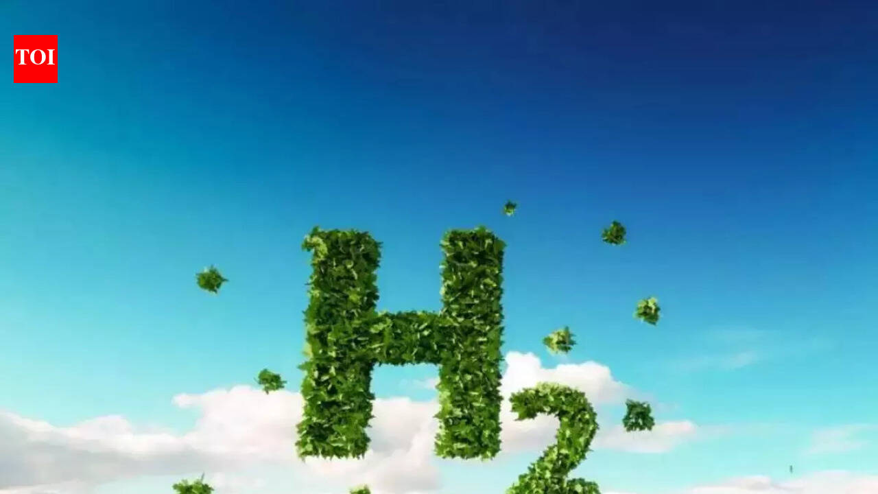 India's renewable energy boom could make Germany a customer for green hydrogen