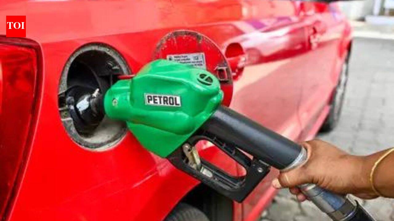 'No abnormal wear & tear': Centre reiterates E20 safe for vehicles