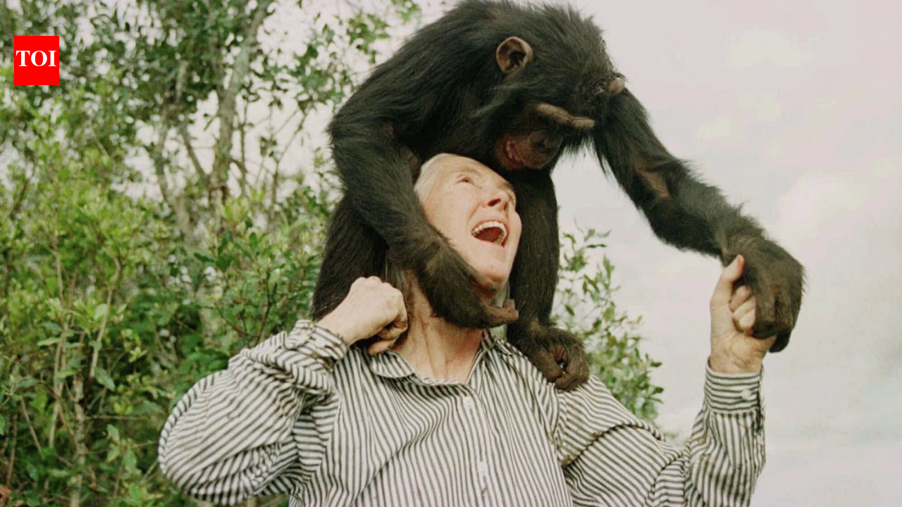 Quote of the day by Jane Goodall: Why "Even that great scientist Albert Einstein sustained a mystical outlook on life" reminds us that wonder and humility go hand in hand