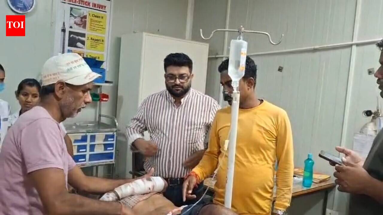 65-year-old man injured in tiger attack near VTR in West Champaran