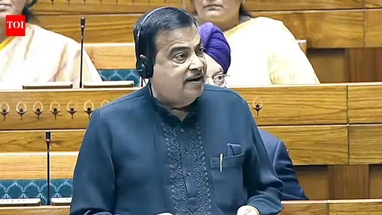 E20 petrol can reduce vehicle mileage by up to 6%: Nitin Gadkari in Parliament