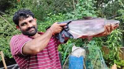 Agriculturist turns fish farming into thriving enterprise in Moodubidire