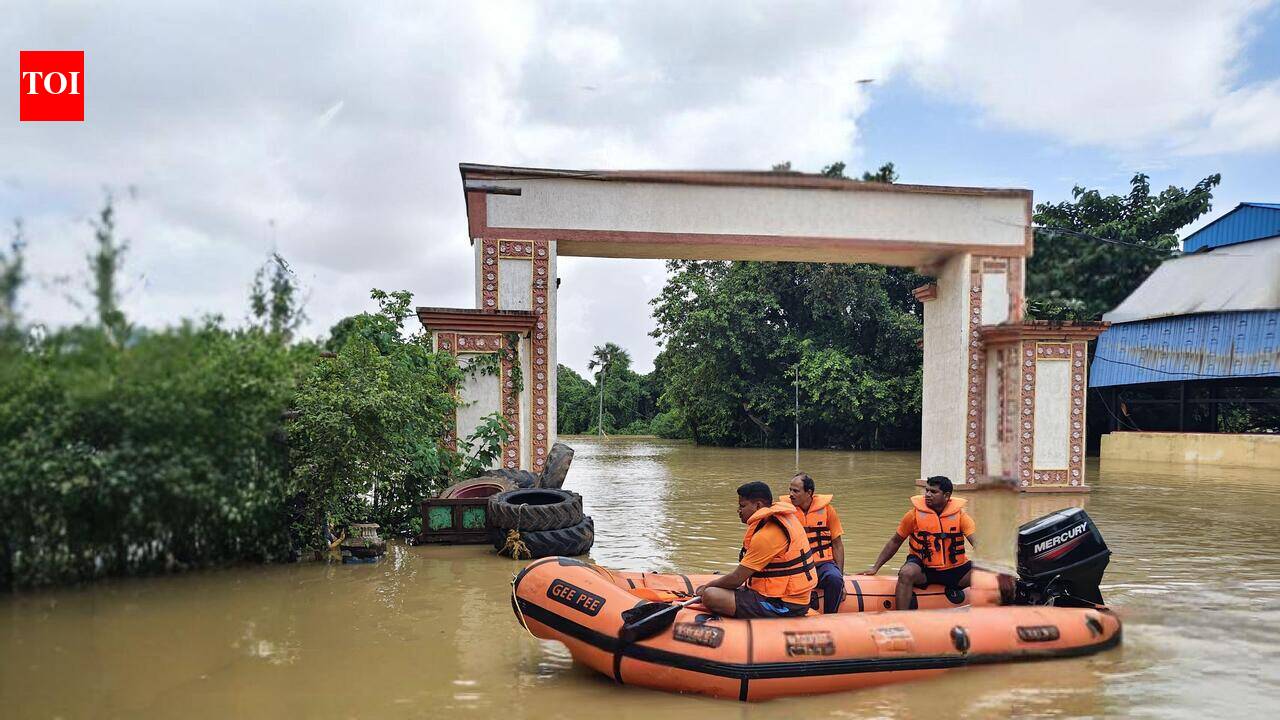 Odisha plans drainage master plan as floods expose urban waterlogging vulnerabilities