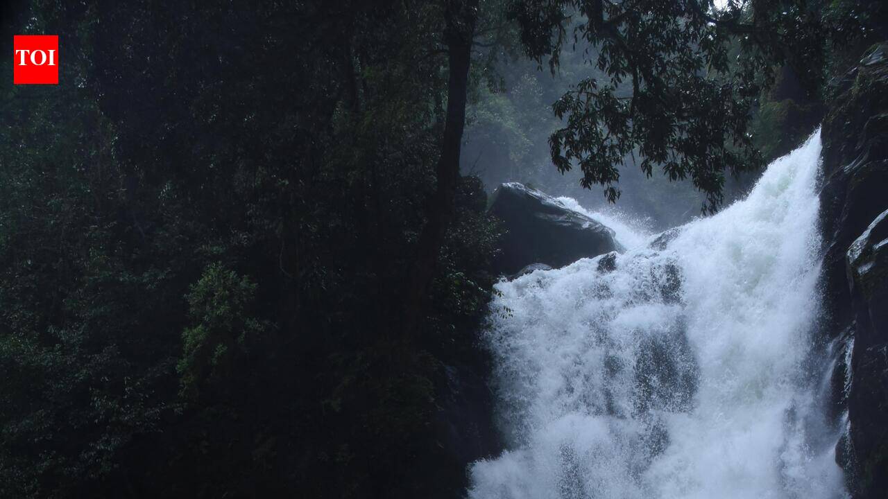 Kudremukh eco-tourism earns Rs 5.2 crore as trek demand surges