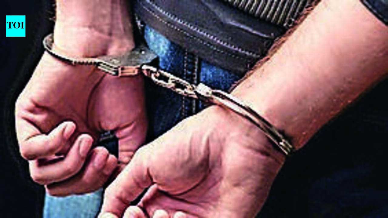 Chittorgarh cops arrest 2 over viral animal cruelty videos