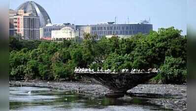 Velachery residents seek relief from marsh zone tag, housing activities paralysed