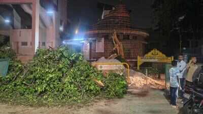 बेंगलुरु में हेडमास्टर पर पेड़ गिरने से गुरु पूर्णिमा पर मंदिर की यात्रा दुखद अंत में समाप्त हुई