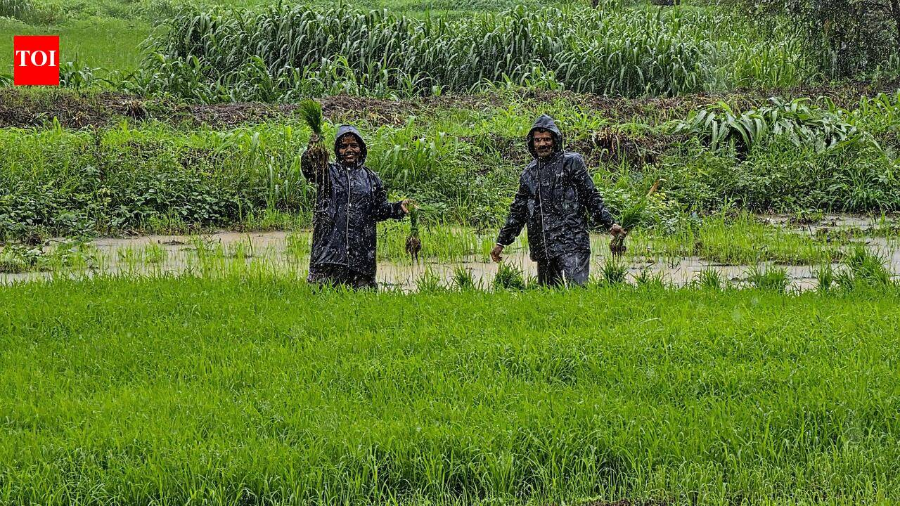 Maharashtra government clears Rs 9.9 crore for farm loan waiver publicity