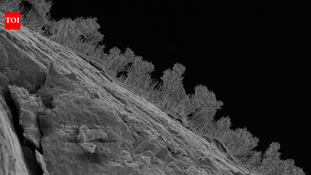 Scientists drilled 1,640 feet beneath Michigan and found 689 kinds of fungi living in water