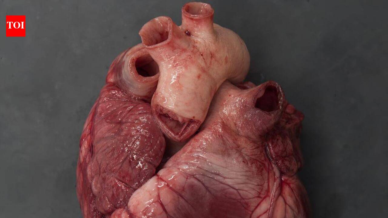 Life-saving chest wall reconstruction restores breathing in crash survivor
