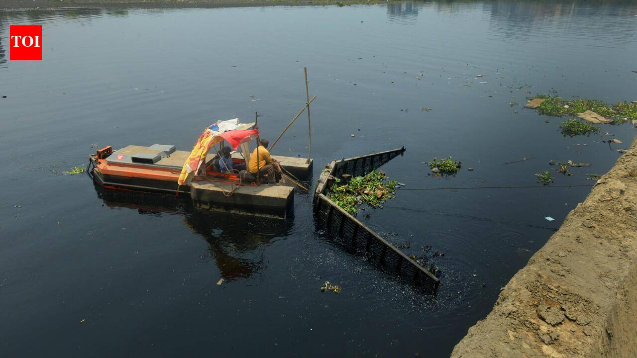 Tansi Nagar residents seek desilting of macro canal on Velachery road