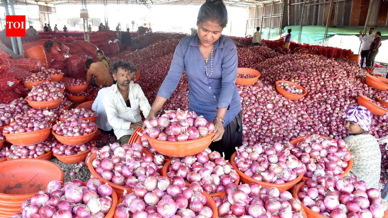 Centre hikes onion procurement rate to Rs 23.35/kg, but tightens quality norms; farmers fume at meagre increase