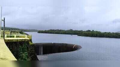 WRD taps Kushavati river to conserve Selaulim water