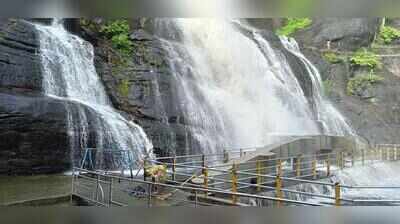 From dry to flooding in 24 hours: Courtallam falls shut to tourists