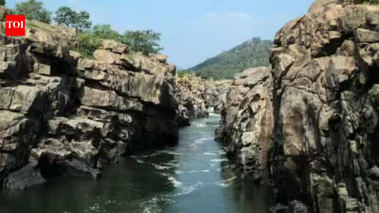 DMK announces protest on Aug 3 against Mekedatu dam coinciding with Vijay’s proposed Karnataka visit