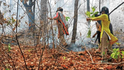 Gender and other battles being won in Telangana forests