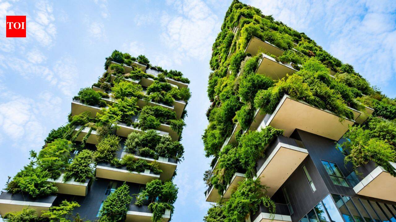 How Hyderabad can build its way out of the heat