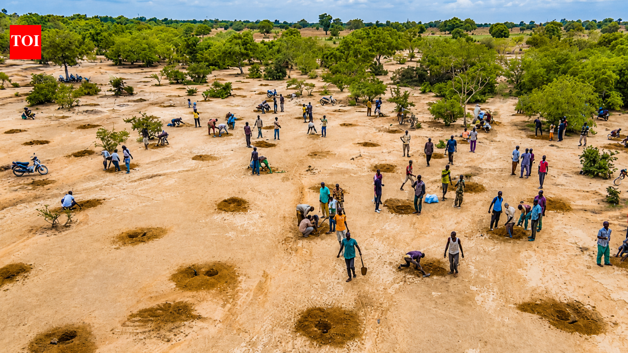 After decades of drought, water is returning to the south of Sahara Desert as ancient farming techniques and the Great Green Wall breathe new life into the Sahel
