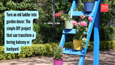 Turn an old ladder into garden decor: The simple DIY project that can transform a boring balcony or backyard