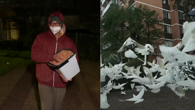 Australia's mysterious 'Birdman' has spent two years feeding birds in the middle of the night, leaving the neighbourhood plagued by a daily 'poo explosion'