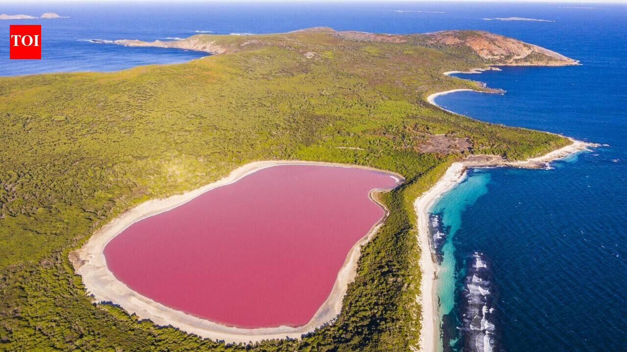 Australia's bubblegum-pink lakes: The fascinating science behind their colour, and why some may not stay pink forever