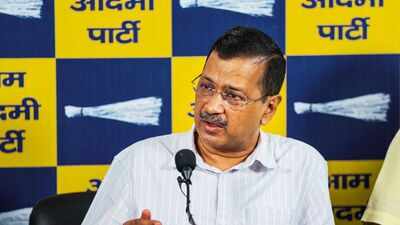 'Don't be scared, we will take care': AAP offers to shield CJP protesters from 'right wing goons'