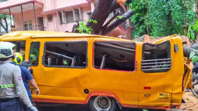 Chembur tree mishap: Ex-Mumbai University vice-chancellor to head panel for fresh probe