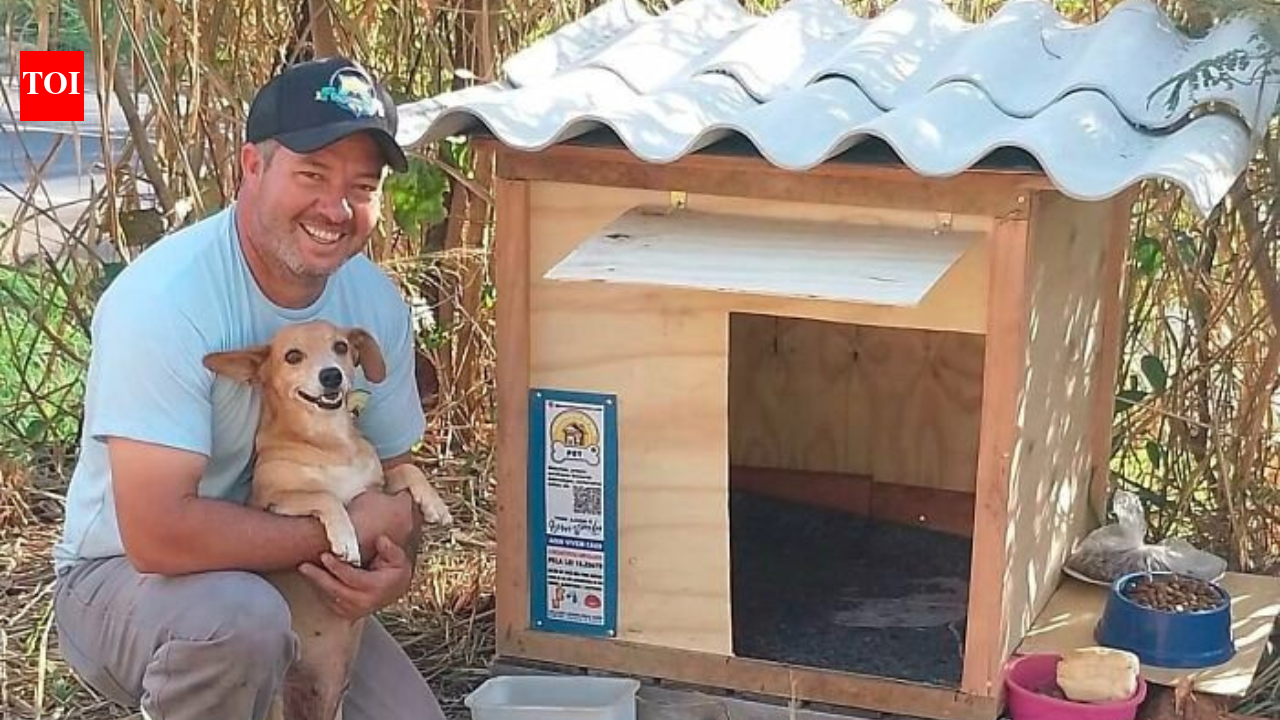 This Brazilian truck driver has built more than 1,700 wooden homes for stray dogs and cats, giving them shelter from rain and cold