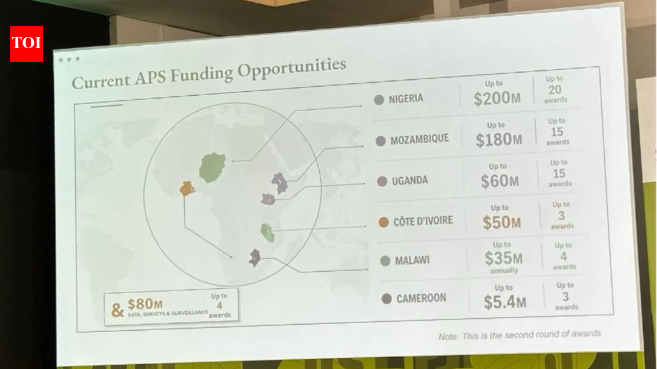 US state department uses AI-generated map that mislabels African countries at Brazil conference