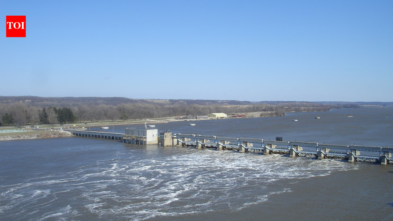 In 1933, the US completed a 336-mile waterway across Illinois to carry cargo between the Great Lakes and the Mississippi; decades later, it became a pathway for invasive carp