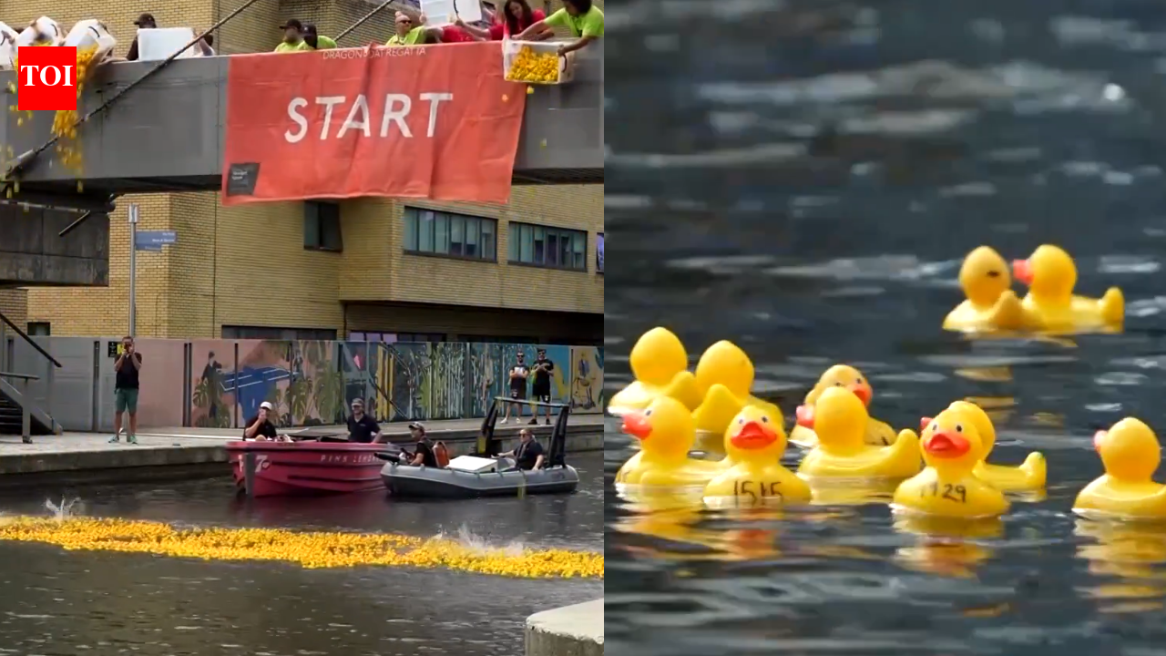 Thousands of rubber ducks raced through a London canal to raise money for critically ill children, turning a charity event into a colourful spectacle