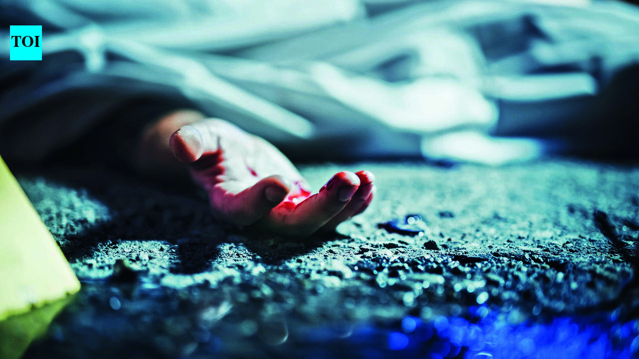 Three of a family killed in Udaipur Highway crash