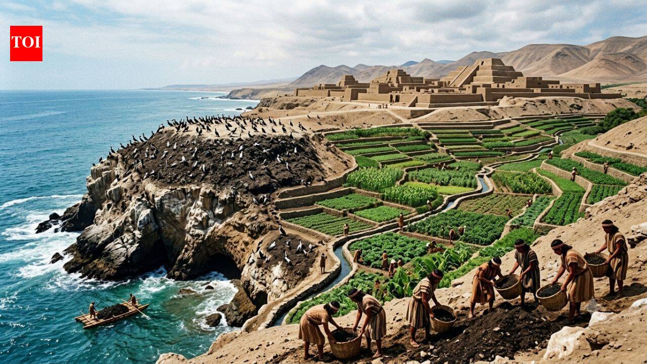 How seabird poop transformed Peru's desert into farmland and built a powerful ancient kingdom