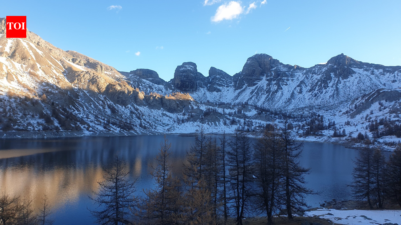 In 1924, Arctic charr from Lake Geneva were stocked into Lake Allos; a century later...