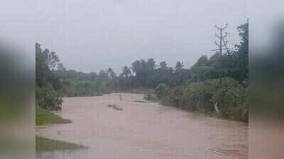 Palghar’s July rain hits 4,600+ farmers in 346 villages, damages crops on 1,205 hectares