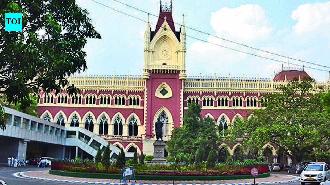 NTA to debar NEET candidate for 3 years after HC finds OMR sheets prima facie forged