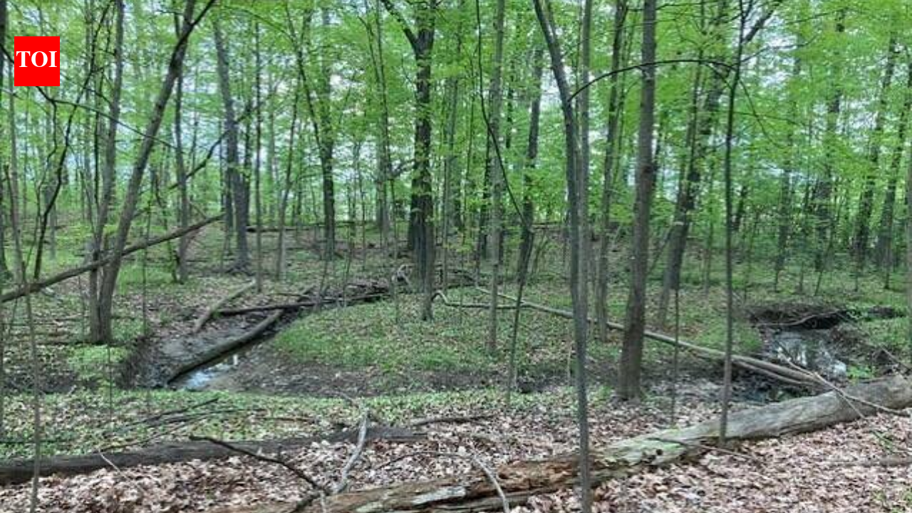 A Michigan woman owns 19 acres between two planned Toll Brothers communities