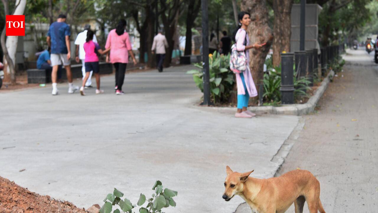 Civic body liable to compensate stray dog attack victims: Kerala HC