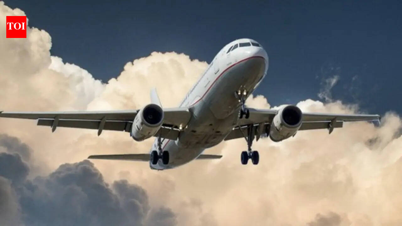 As AI cracks airlines' 'secret sauce', days of cheap air tickets are over