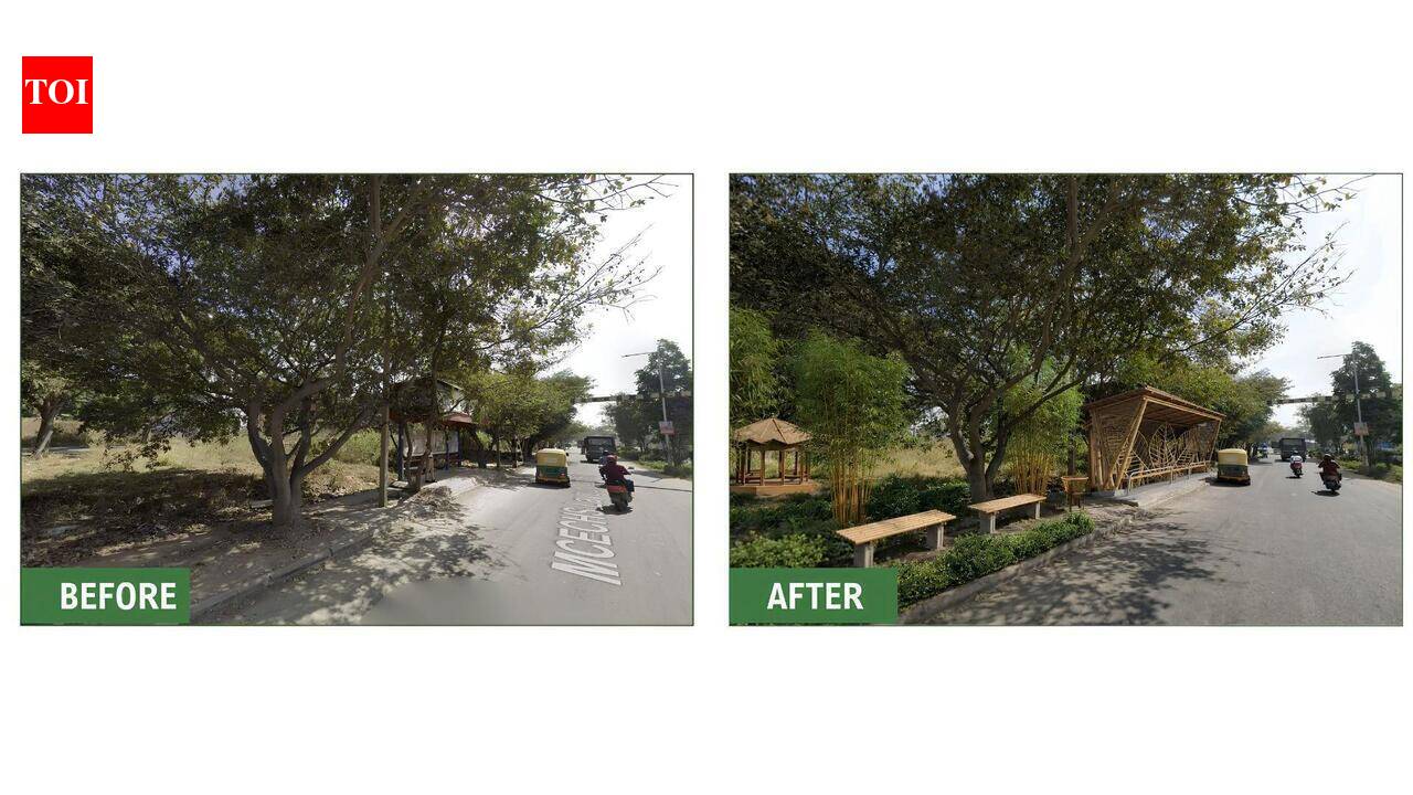 Will bamboo save Bengaluru? Jakkur to try it out