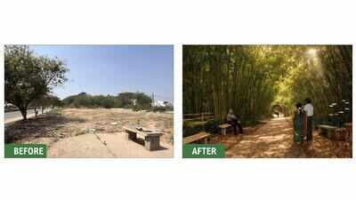 Will bamboo save Bengaluru? Jakkur to try it out