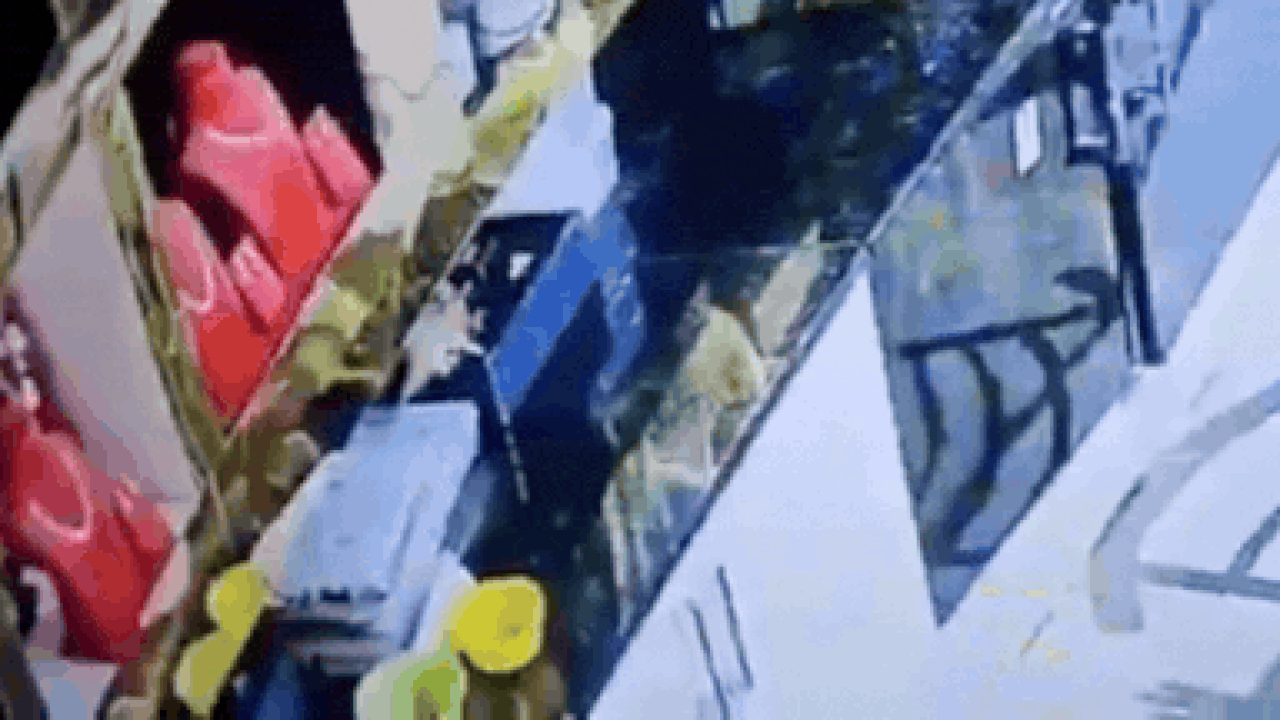 'Unlikely jewel thief': Rat caught 'stealing' gold rings from Karnataka jewellery store