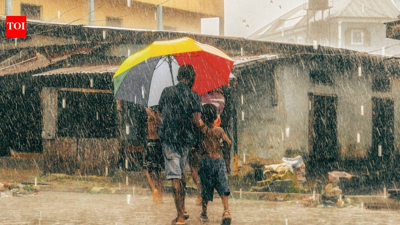 Monsoon intensifies: IMD issues heavy rain warnings across India, Gujarat on highest alert