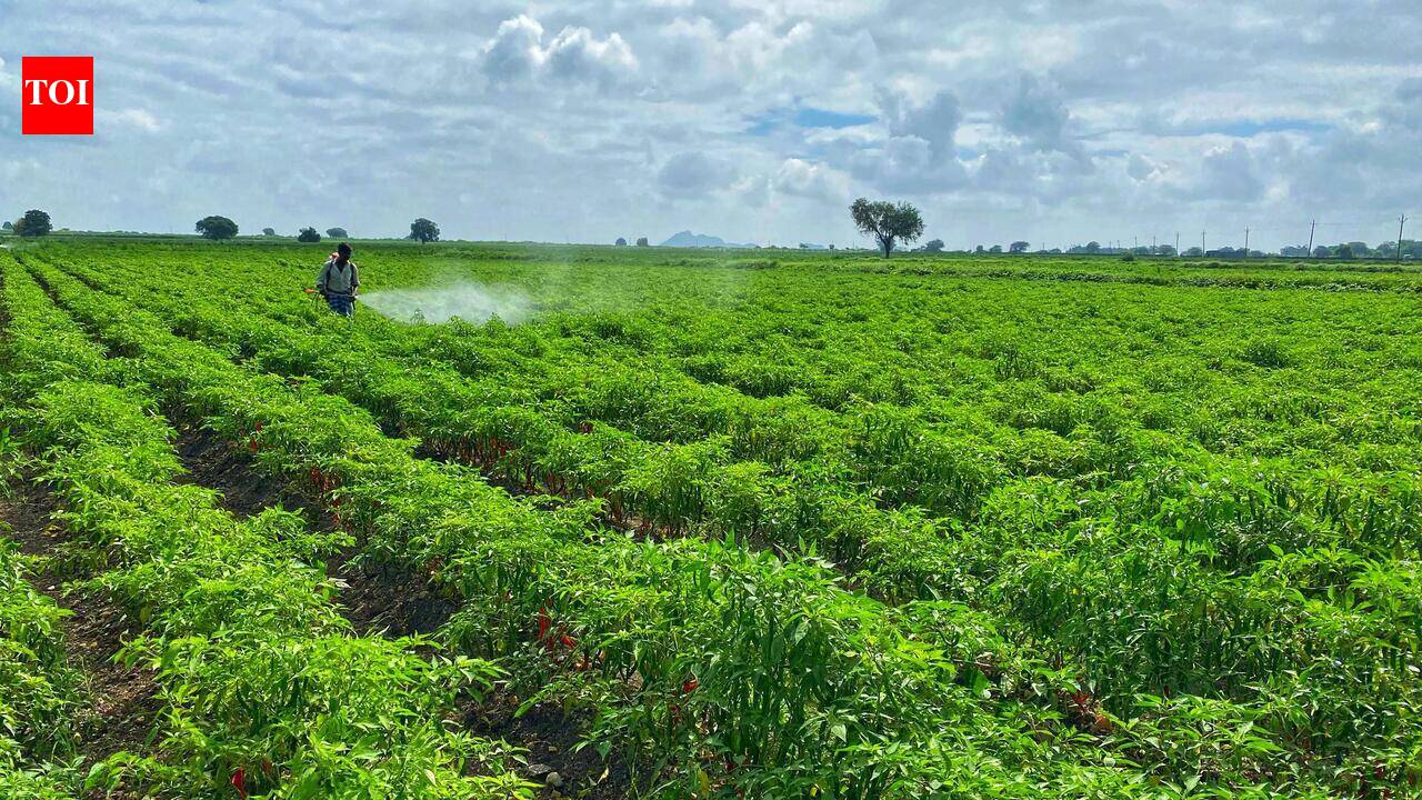 Maharashtra pauses farmer stipend for loan waiver
