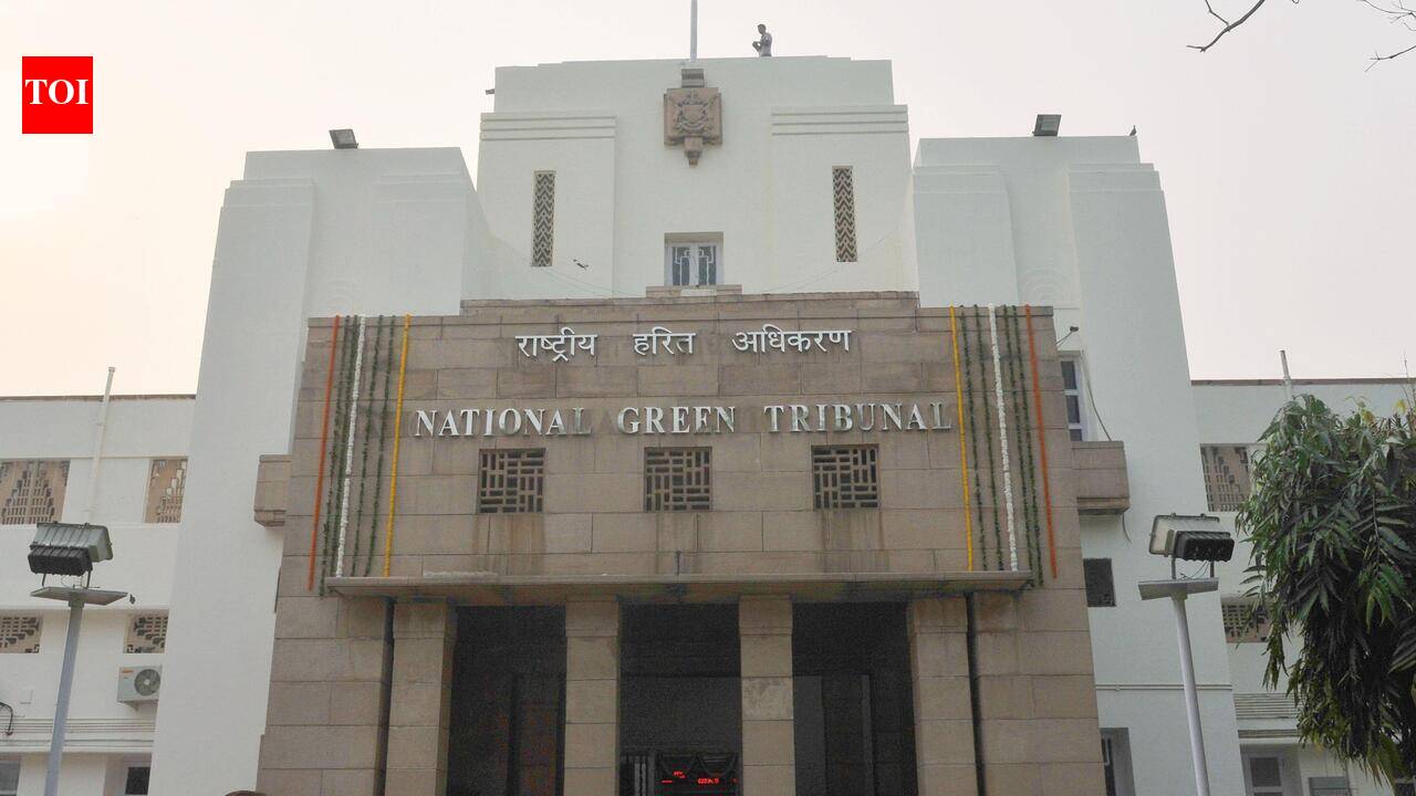 NGT lens on illegal stone mining in Sahibganj