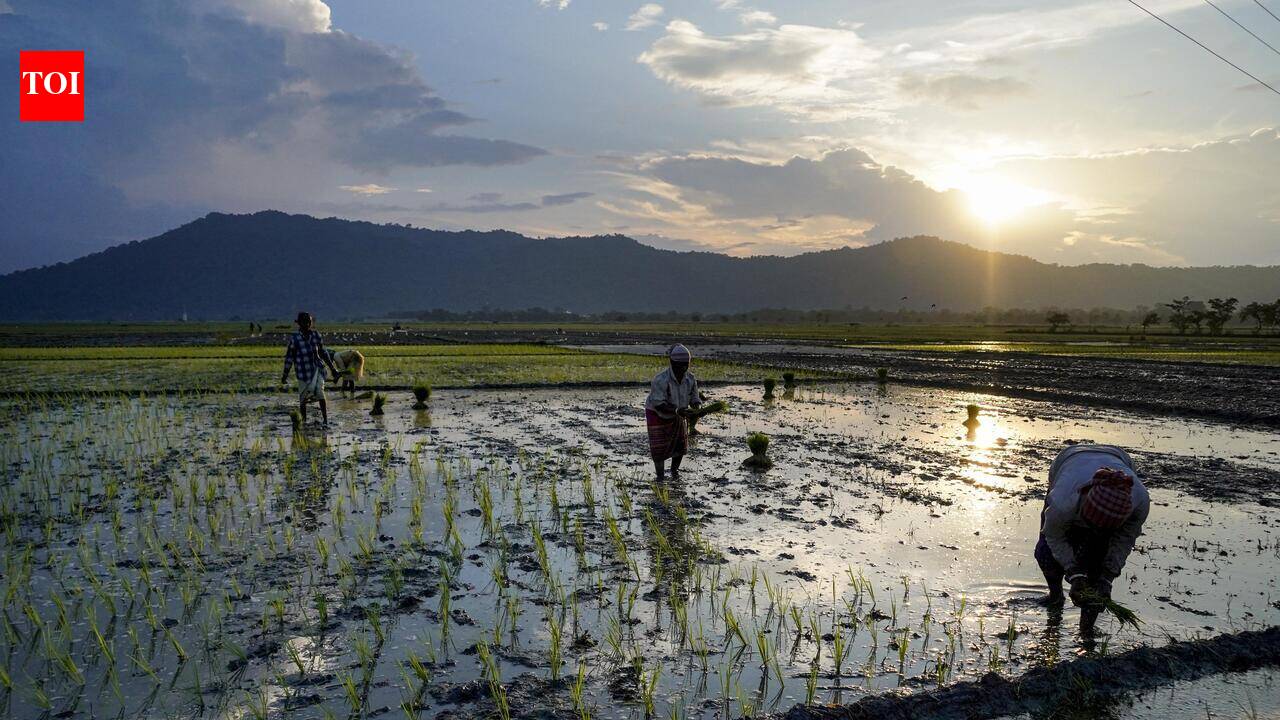 Only 22% kharif area insured as El Nino threat looms in AP