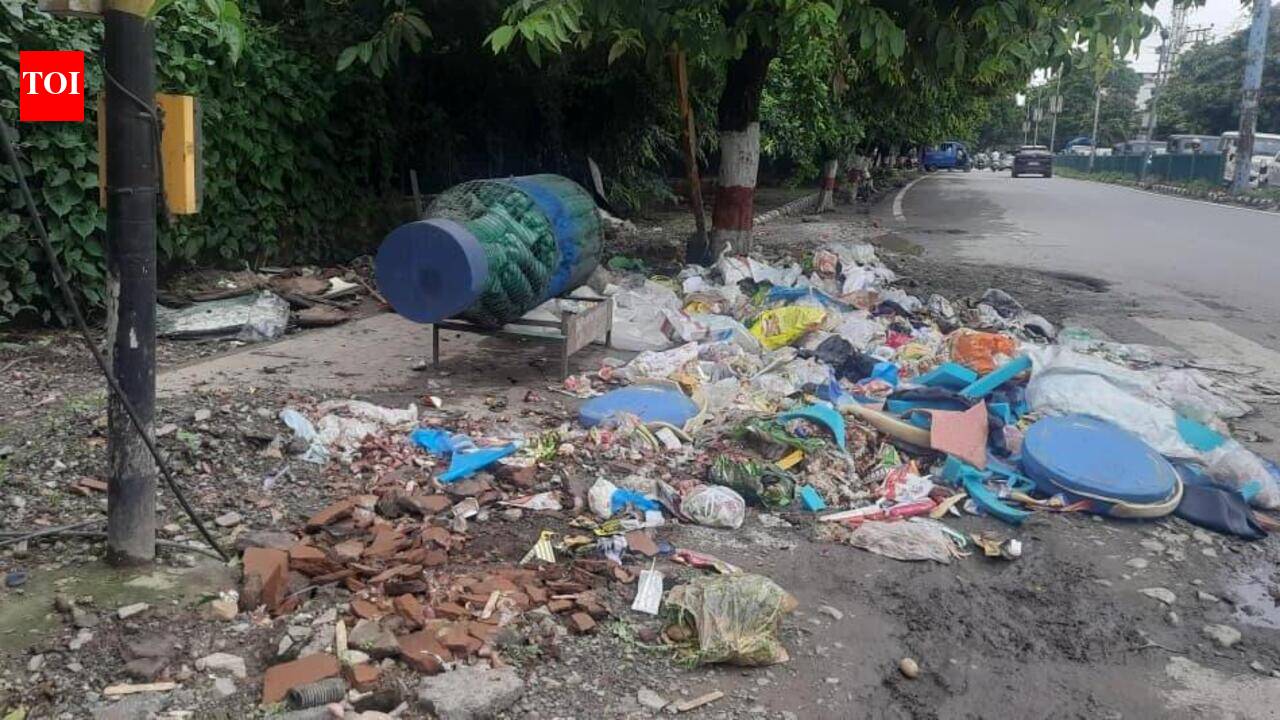Nehru Colony residents flag poor drainage, garbage issues