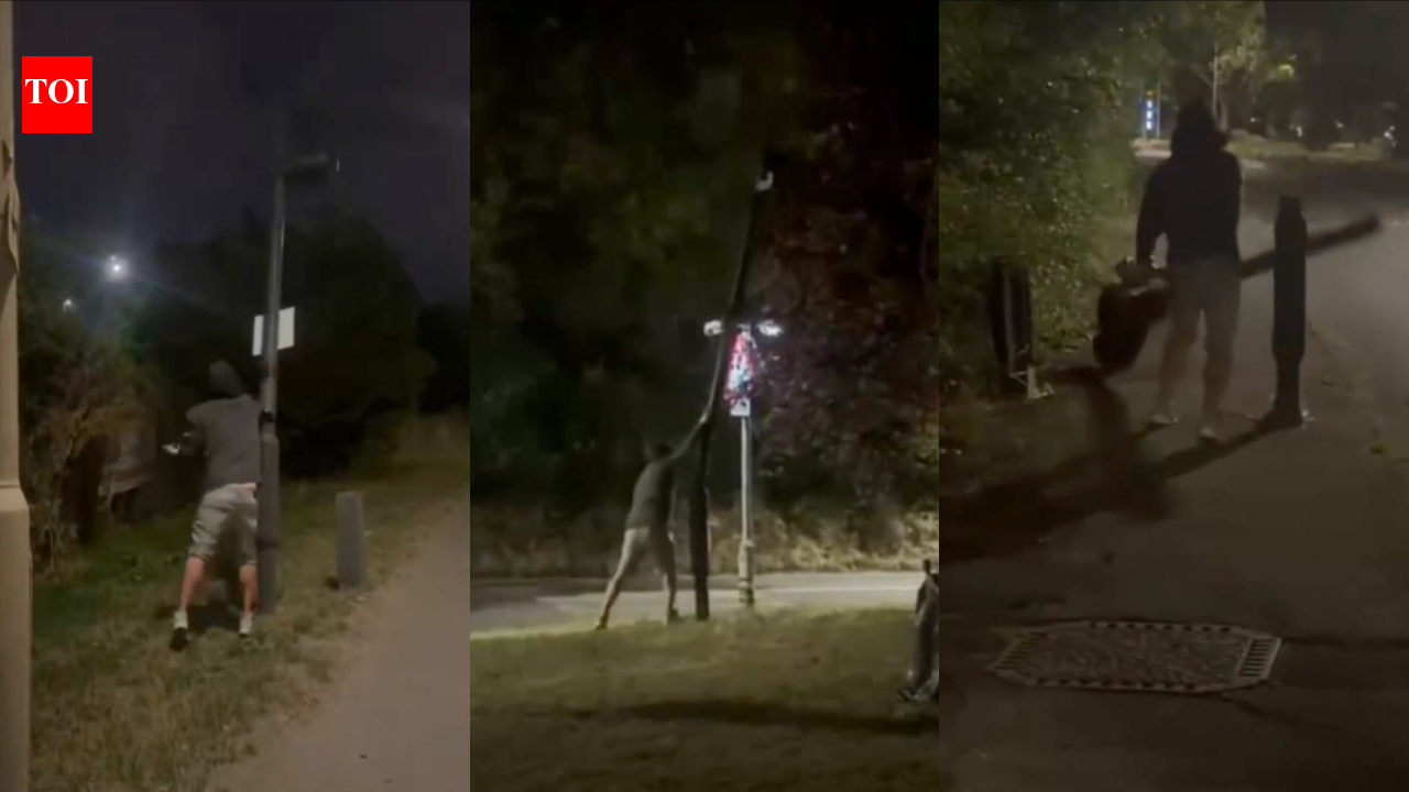 From Florida to California, why Americans are vandalising Flock surveillance cameras across the country