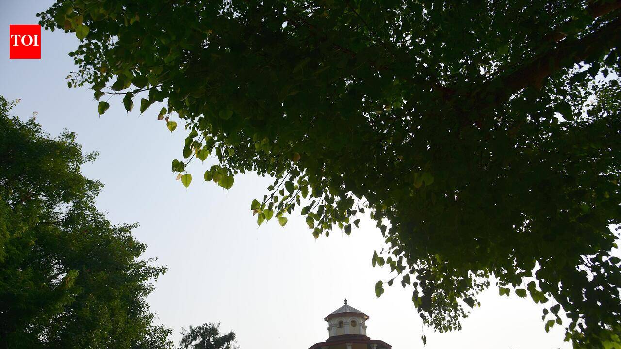 Call to action: Let’s walk the green mile for a lush Bengaluru
