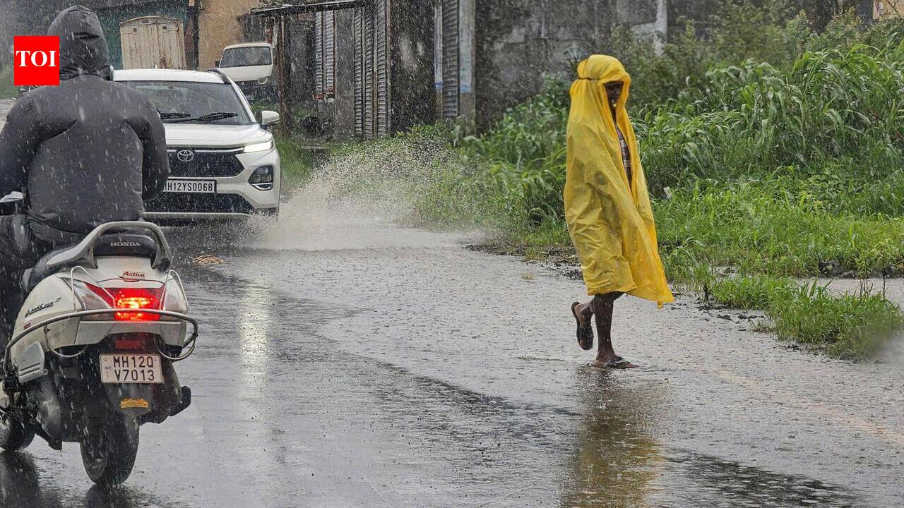 Aug-Sept rainfall likely to be below normal for most of Maharashtra: IMD
